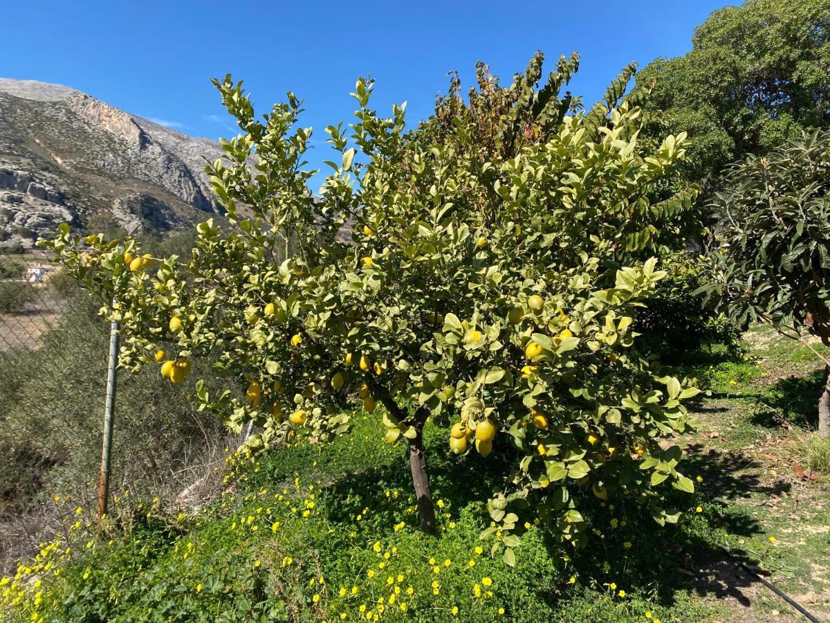 Valle de Abdalagís Casa El Saladillo 빌라 외부 사진