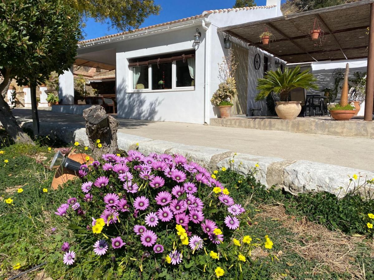 Valle de Abdalagís Casa El Saladillo 빌라 외부 사진