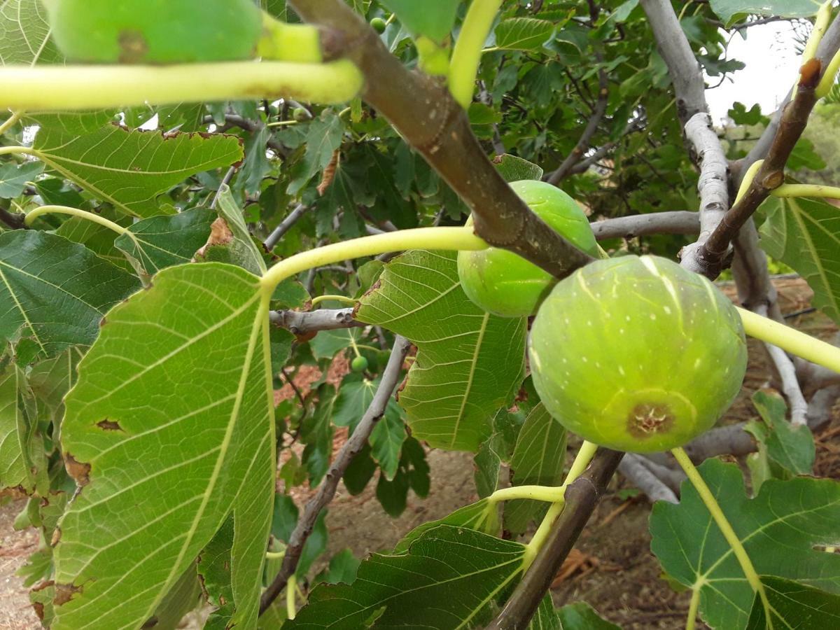 Valle de Abdalagís Casa El Saladillo 빌라 외부 사진